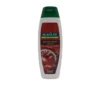 Palmolive shampoo 350 ml Brilliant Color Pomegranate
